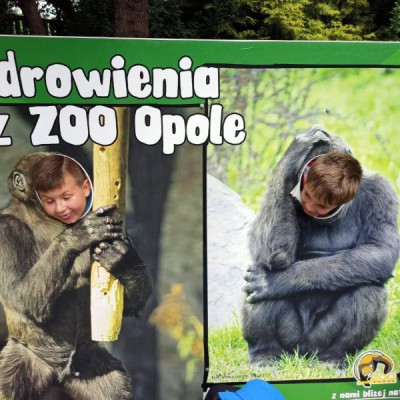 wycieczka zoo 2021 042