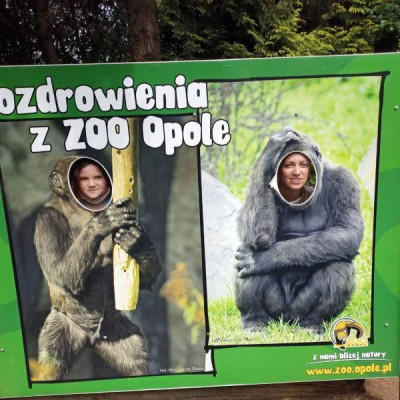 wycieczka zoo 2021 050