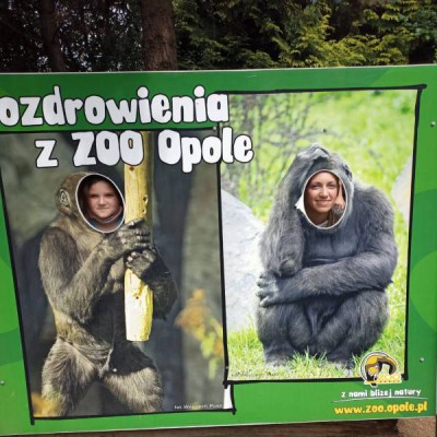 wycieczka zoo 2021 056