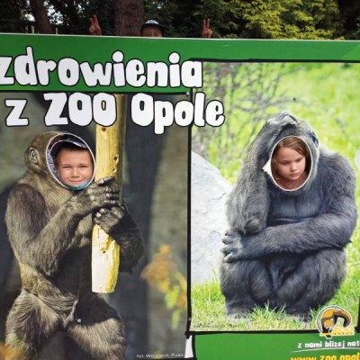 wycieczka zoo 2021 057