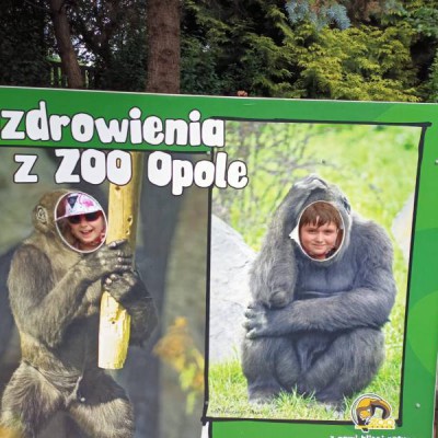 wycieczka zoo 2021 058